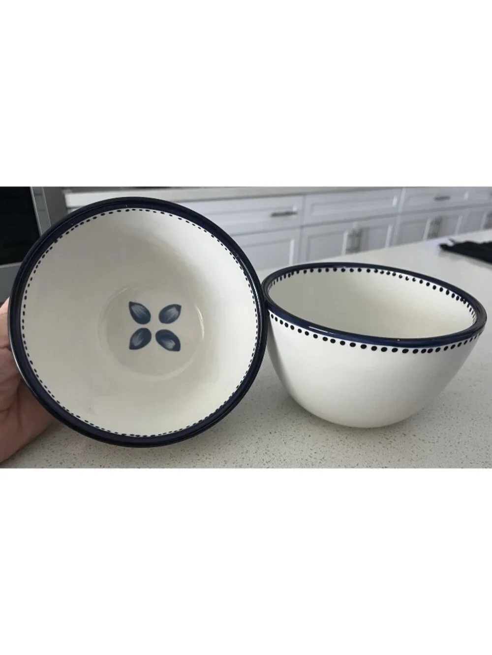 Pottery Barn set of 2 Tiburon Soup Cereal Rice Bowls Cottagecore Farmhouse